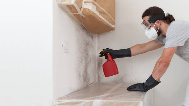 Professional Bathroom Mold Removal technician working in Lancaster, PA